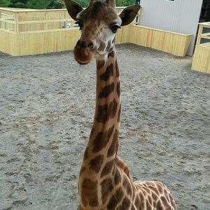 Meet your Posher, Vicki